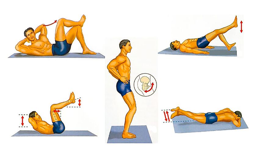 exercicios