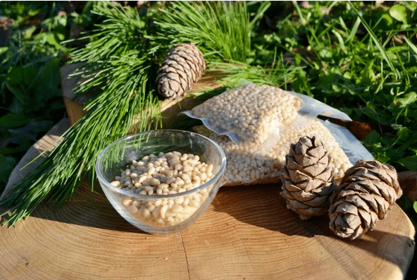 Nuts de cedro