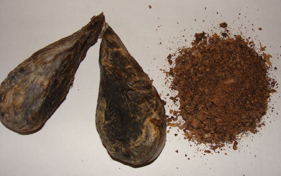 corrente de castor para aumentar a potencia